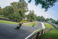 Lower Group Black Bikes